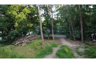 Immobilie kaufen in 16348 Wandlitz, Baugrundstück in Seenähe im grünen Wandlitz