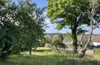 Immobilie kaufen in 90602 Pyrbaum, Wohnbaugrundstück mit positver Bauvoranfrage direkt in Pyrbaum