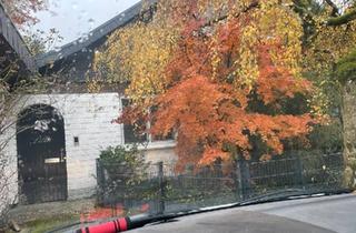 Haus kaufen in 29336 Nienhagen, Nienhagen - Bungalow mit Einliegerwohnung in Nienhagen bei Hannover