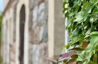 Haus kaufen in 16278 Angermünde, Wohnoase auf 4.439 m² – großzügiges Landhaus mit Ausbaupotenzial und mehreren Nebengebäuden