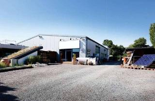 Büro zu mieten in Im Altenschemel 112, 67435 Lachen-Speyerdorf, Hallenfläche mit Büro, Magazin und Sozialräumen, teilbar ab 175 m² (optional Maisonette-Wohnung)