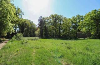 Grundstück zu kaufen in 21770 Mittelstenahe, Planen Sie Ihr Traumhaus! Erschlossenes Baugrundstück wartet auf Sie