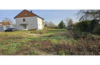 Grundstück zu kaufen in Hofmarkstraße, 86529 Schrobenhausen, 980 m² Baugrundstück für EFH, ZFH, DH oder MFH in Schrobenhausen.