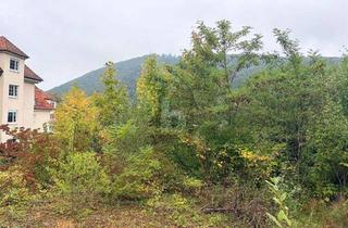 Grundstück zu kaufen in 79410 Badenweiler, FERTIGES PROJEKT SUCHT UMSETZUNG!