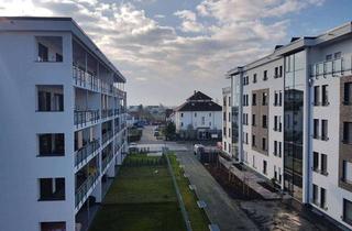 Wohnung mieten in 64521 Groß-Gerau, Moderne Studiowohnung, Blk, EBK, TG, in Bahnhofsnähe