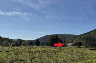 Gewerbeimmobilie kaufen in 97769 Bad Brückenau, Ehemalige Papiermühle in idyllischer, ruhiger Lage