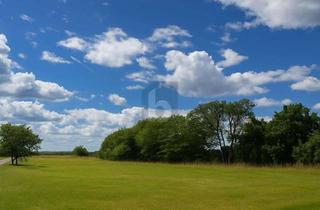 Grundstück zu kaufen in 21723 Hollern-Twielenfleth, VIEL PLATZ FÜR DIE GANZE FAMILIE IM ALTEN LAND