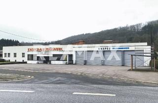 Büro zu mieten in 66620 Nonnweiler, Attraktive Gewerbehalle mit Büroflächen in zentraler Lage zu vermieten