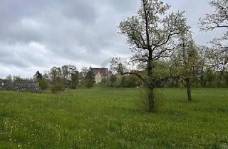 Grundstück zu kaufen in 88484 Gutenzell-Hürbel, IHR TRAUM VOM BAUEN MIT BLICK AUF SCHLOSS HÜRBEL