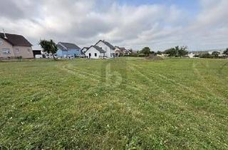 Grundstück zu kaufen in 54675 Biesdorf, TRAUMLAGE, PERFEKTE GRÖßE, ERSCHLOSSEN