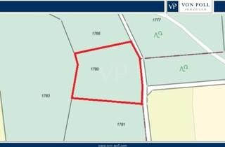 Immobilie kaufen in 90616 Neuhof, VON POLL | Ca. 2.991 m² Fichtenwald in Kolmberg, Neuhof an der Zenn