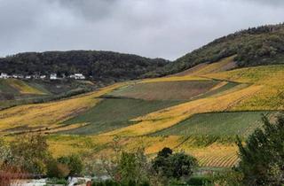 Wohnung kaufen in 54470 Bernkastel-Kues, Bernkastel-Kues - Eigentumswohnung