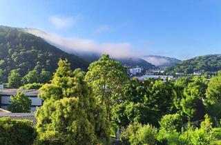 Einfamilienhaus kaufen in 69412 Eberbach, Eberbach - Einfamilienhaus mit separater Wohnung