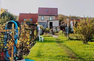 Haus kaufen in 39249 Barby, Barby - Haus mit schönen großen Garten für Pferd & Tiere,Erholung & Pool