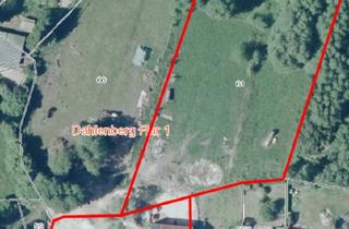 Haus kaufen in 04880 Dommitzsch, Dommitzsch - Grundstück zu verkaufen