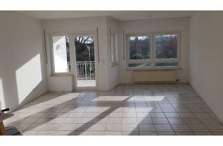 Wohnung mieten in 69231 Rauenberg, Neu sanierte 3-Zimmer Wohnung mit Südbalkon in Rauenberg