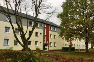 Wohnung mieten in Finkhuette, 21493 Schwarzenbek, Ihre Zukunft - Ihre Wohnung: praktische 3-Zi.-Wohnung frisch saniert