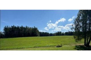 Haus kaufen in 92681 Erbendorf, Tolles Wohnhaus in traumhafter Randlage - Umgeben von Wäldern und Wiesen!! Top