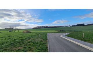 Haus kaufen in 55624 Bollenbach, Bau mit Heinz im Neubaugebiet! Komfortabel Leben im Bungalow - inkl. überdachter Sonnenterrasse!