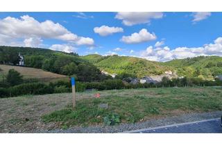 Haus kaufen in 55758 Niederhosenbach, Schlüsselfertig Bauen "Auf Hinzerich" mit Heinz von Heiden Ihr Massivbauspezialist in ihrer Region!