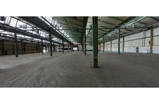 Gewerbeimmobilie mieten in 34576 Homberg, —— Sofort verfügbar ++++ Logistik-/Lager-/Produktionsfläche zu vermieten ++++++