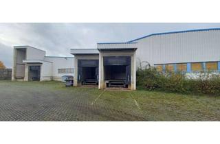 Gewerbeimmobilie mieten in 34560 Fritzlar, ++++ Sofort verfügbar –Logistik-/Hallen-/Produktionsfläche/n zu vermieten – Fritzlar Süd ++++