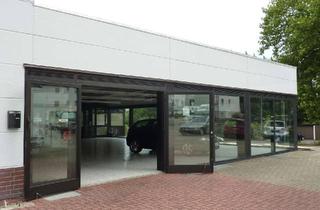 Gewerbeimmobilie mieten in Marggrafstraße 21, 31137 Hildesheim, Automobilsalon / Ausstellungsfläche in TOP Lage