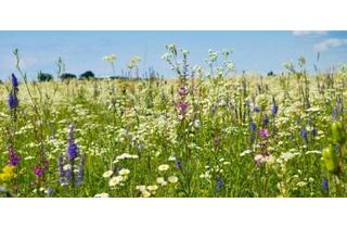 Grundstück zu kaufen in 86356 Neusäß, Baugrund in Westheimer Bestlage