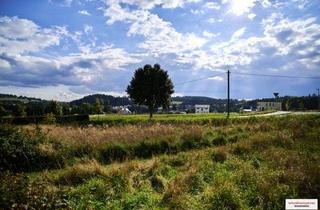 Grundstück zu kaufen in Am Steinbüschel, 09427 Ehrenfriedersdorf, Baugrundstück 1.072 m² in Ehrenfriedersdorf in Siedlungslage