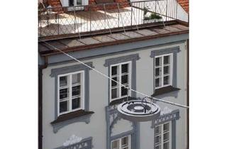 Wohnung mieten in Untere Hauptstraße 44, 85354 Freising, Charmante 1-Zimmerwohnung mit Galerie und Dachterrasse.