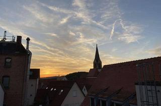 Wohnung mieten in 72525 Münsingen, Renovierte 2-Zimmer-Wohnung mit Dachterrasse und Einbauküche in Münsingen