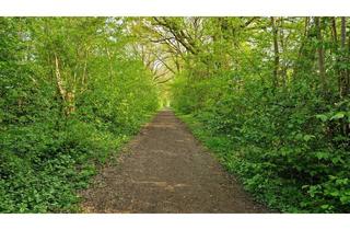 Wohnung mieten in Diekskamp, 22949 Ammersbek, Moderne und helle Wohnung mit zwei Zimmern in Ammersbek-Lottbek.