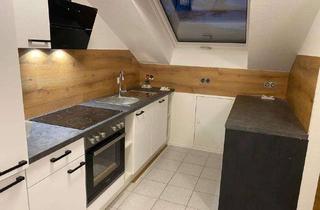 Wohnung mieten in Nittingen 8b, 86732 Oettingen, Stilvolle, geräumige 1-Zimmer-Wohnung mit Balkon und EBK in Oettingen