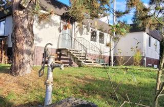 Einfamilienhaus kaufen in 35792 Löhnberg, Lichtdurchflutetes Einfamilienhaus mit großem Naturgarten Nahe der Lahn