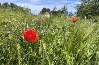 Grundstück zu kaufen in Gollwitz, 23999 Insel Poel, Baugenehmigung für 24 Wohnungen mit 1.750 qm Wohnfläche! Ostsee-Insel Poel nur 350m bis zum Strand!