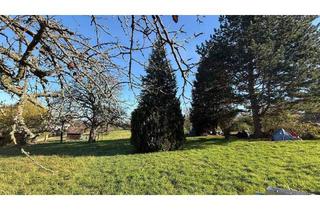 Mehrfamilienhaus kaufen in 73765 Neuhausen, Neuhausen auf den Fildern - Das großzügige 3 - 4 Familienhaus in bester Aussichtslage !