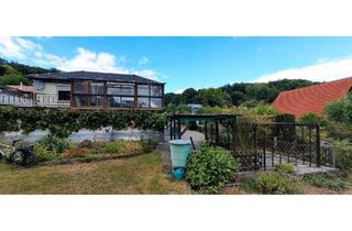 Einfamilienhaus kaufen in 99846 Seebach, Seebach - Einfamilienhaus