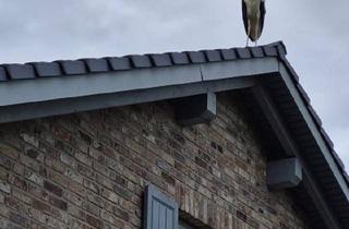 Einfamilienhaus kaufen in 23970 Benz, Benz - Einfamilienhaus zu verkaufen