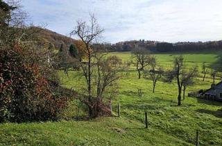 Wohnung kaufen in 52152 Simmerath, Wohnung (ideal als Ferienwohnung) mit sonniger Süd-Terrasse und herrlicher Aussicht