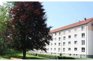 Wohnung mieten in Alt-Neundorf 1a, 01796 Pirna, Helle 3-Raum-Wohnung in der Pirnaer Südvorstadt