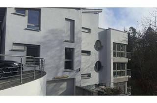 Wohnung mieten in Schwerdnermühle, 93138 Lappersdorf, Gehobene Split-Level Wohnung mit 3 ZKB mit Dachterrassein Lappersdorf