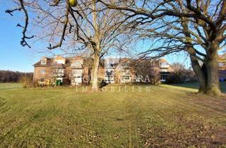 Wohnung mieten in Waldstraße 11, 29416 Kuhfelde, 2-Raum-Wohnung in Kuhfelde