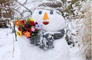 Wohnung mieten in Meckenheimer Ring 17, 16321 Bernau, Moderne Wohnung mit eigenem kleinen Garten