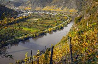 Gewerbeimmobilie kaufen in Amselweg, 54470 Bernkastel-Kues, Renditestarker Betrieb an der Mosel. PROVISIONSFREI