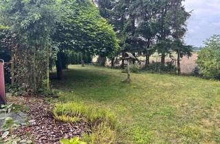 Einfamilienhaus kaufen in 04683 Naunhof, Einfamilienhaus mit 4 Zimmern in Naunhof/Albrechtshain