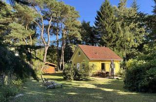Haus kaufen in 18347 Dierhagen, Wohnen im Küstenwald – nur wenige Schritte bis zum Strand