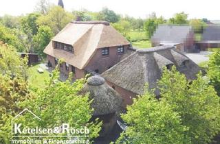 Haus kaufen in Achter De Kark, 25836 Poppenbüll, Lukratives Reetdachanwesen mit vier „genehmigten“ Ferienwohnungen