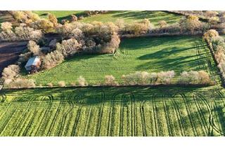 Haus kaufen in 25727 Krumstedt, 2 Hektar Möglichkeiten – Sanierungsobjekt mit Potenzial!