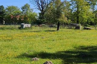 Haus kaufen in 15926 Luckau, Idyllisches Landhaus mit attraktiven Bauerwartungsland in der Nähe des Schlabendorfer Sees.