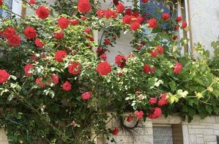 Haus mieten in Am Hartenknapp 13, 34516 Vöhl, Am Hartenknapp 13, 34516 Vöhl